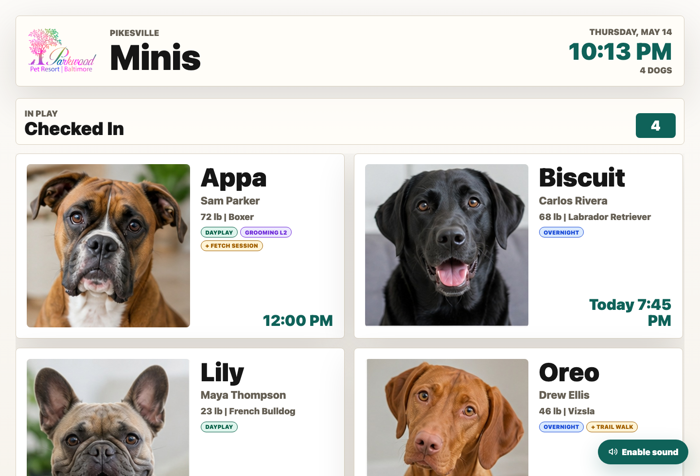 Play yard display with checked-in dogs and scheduled pets
